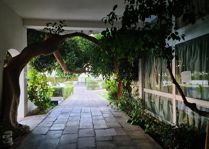 3 Castelos Sunset - Da Rocha Portimão